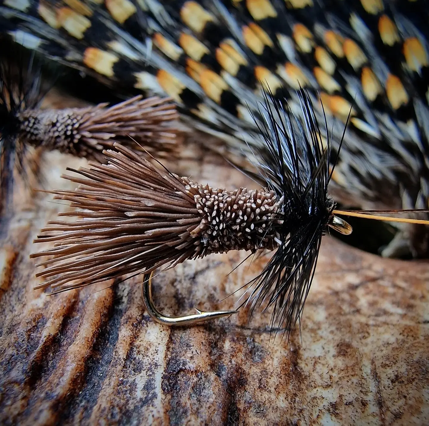 Trout > Dry Flies - Fishing Flies with Worldwide