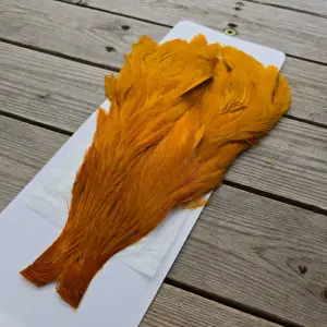 Ewing Hen Capes