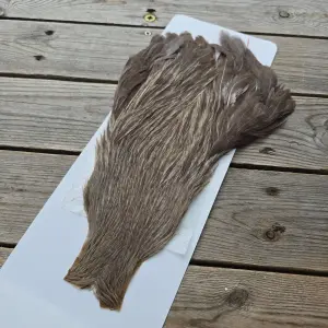 Ewing Hen Capes