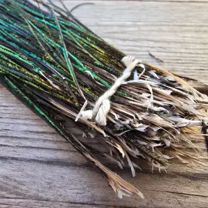 Peacock Herl
