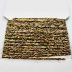 Scraggy Bug Yarn