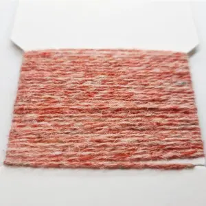 Scraggy Bug Yarn