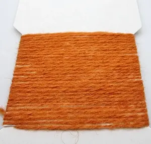 Scraggy Bug Yarn