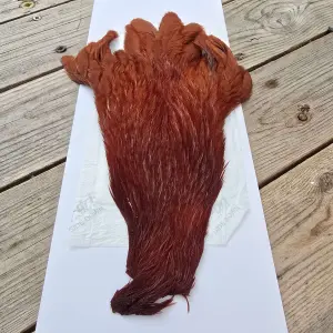 Ewing Hen Capes