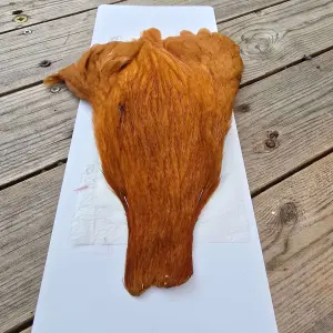 Ewing Hen Capes